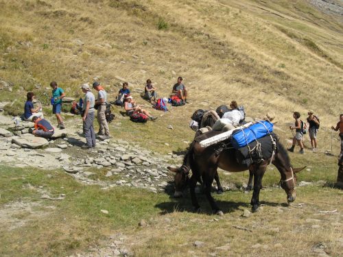 trekking con i muli-47.JPG